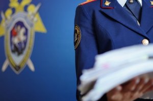 Председателю СК России будет представлен доклад по информации о состоявшемся судебном решении в Тульской области